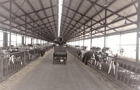 雾炮车作业实景图